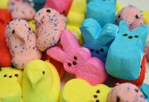 Bunny and chick Peeps marshmallow candies of various colors