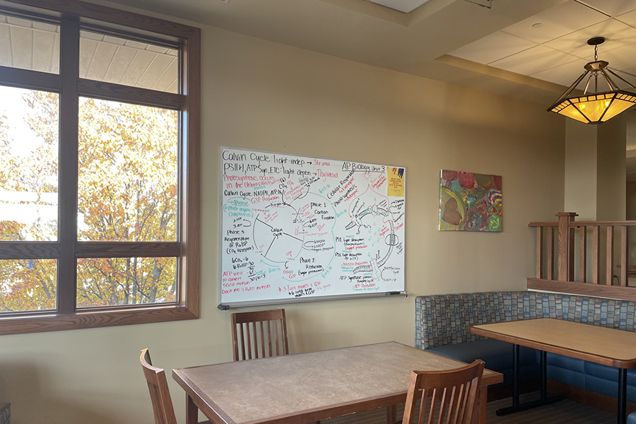 White board filled with Biology notes