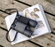 a pair of black binoculars sits on a bird field guide book. There is text on the left page and drawings of owls on the right page