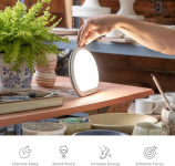 a table with plants and pottery supplies on and around it; a light therapy lamp is on the table with a hand turning it on