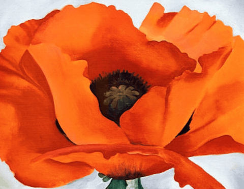 Artist Georgia O'Keefe flower