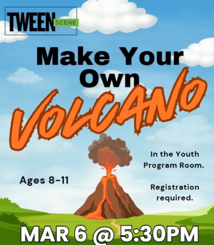 Image of program flyer