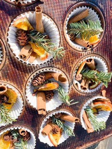 campfire starters