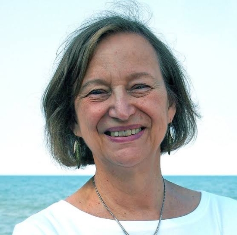 picture of mystery writer patricia skalka