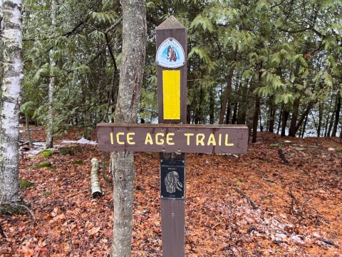 image of Ice Age Trail yellow blaze