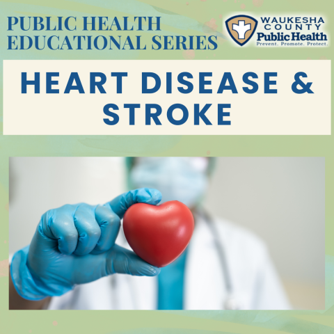 image for heart disease and stroke program
