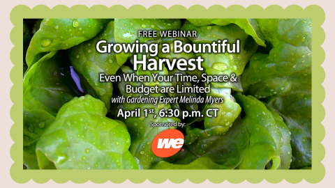 Growing a Bountiful Harvest Webinar on April 1st at 6:30pm.