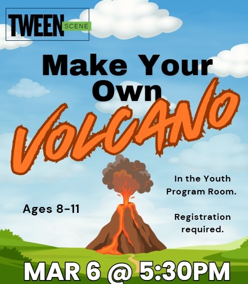 Image of program flyer