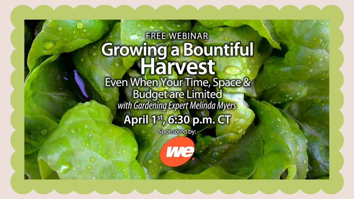 Growing a Bountiful Harvest Webinar on April 1st at 6:30pm.