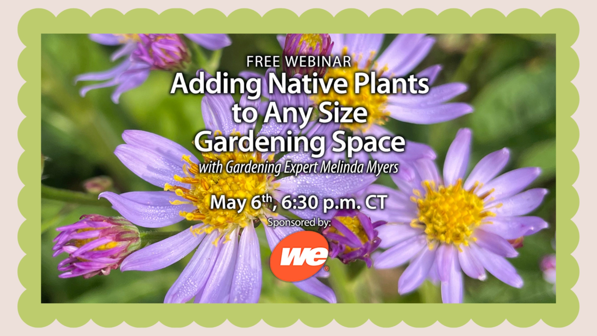Adding native plants to any size gardening space on May 6th at 6:30pm.
